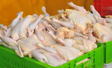 افزایش سهمیه مرغ و گوشت مناطق سیل زده